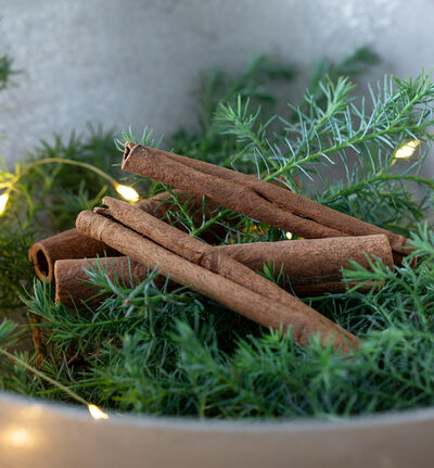 Kanel brun i pose Kanel brun i pose